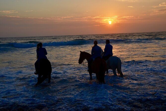 La Bufadora, Markets & Horseback Beach Ride Shore Excursion - Food, markets, and quick drop-off moments