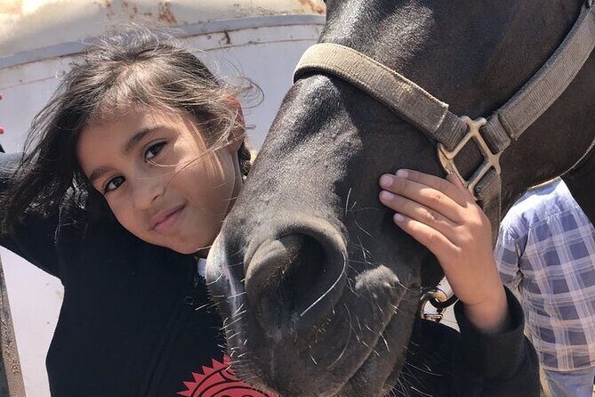 La Bufadora, Markets & Horseback Beach Ride Shore Excursion - Duration reality: plan 4–5 hours, but stay flexible