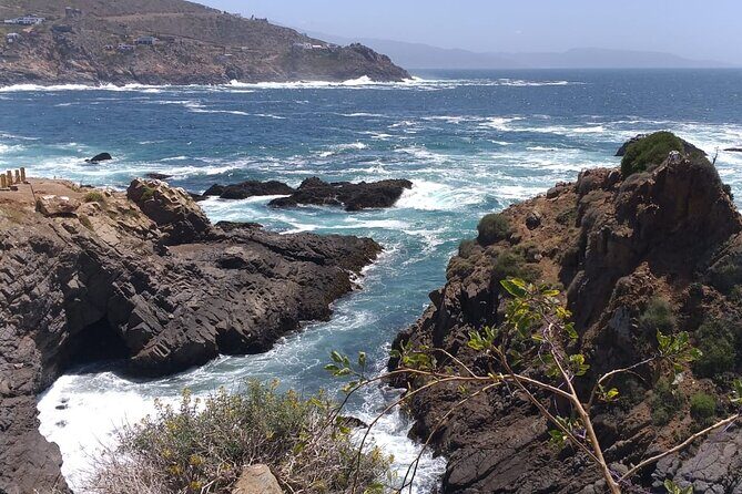 La Bufadora Punta Banda Tour - Lunch in Baja Style: Tacos That Make the Day Feel Complete