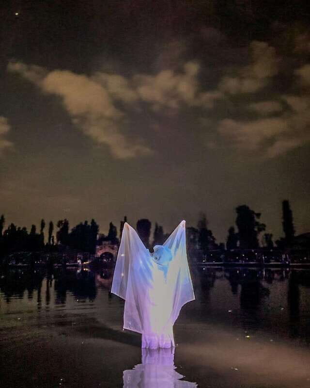 La Llorona, Live Show in the Canals of Xochimilco. - The Trjinera Ride: The View Is the Whole Point