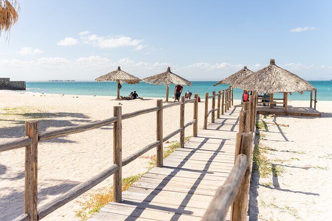 La Paz Beaches Half Day Tour - Stop 4: Playa El Tesoro—quiet bay time with kayaking options