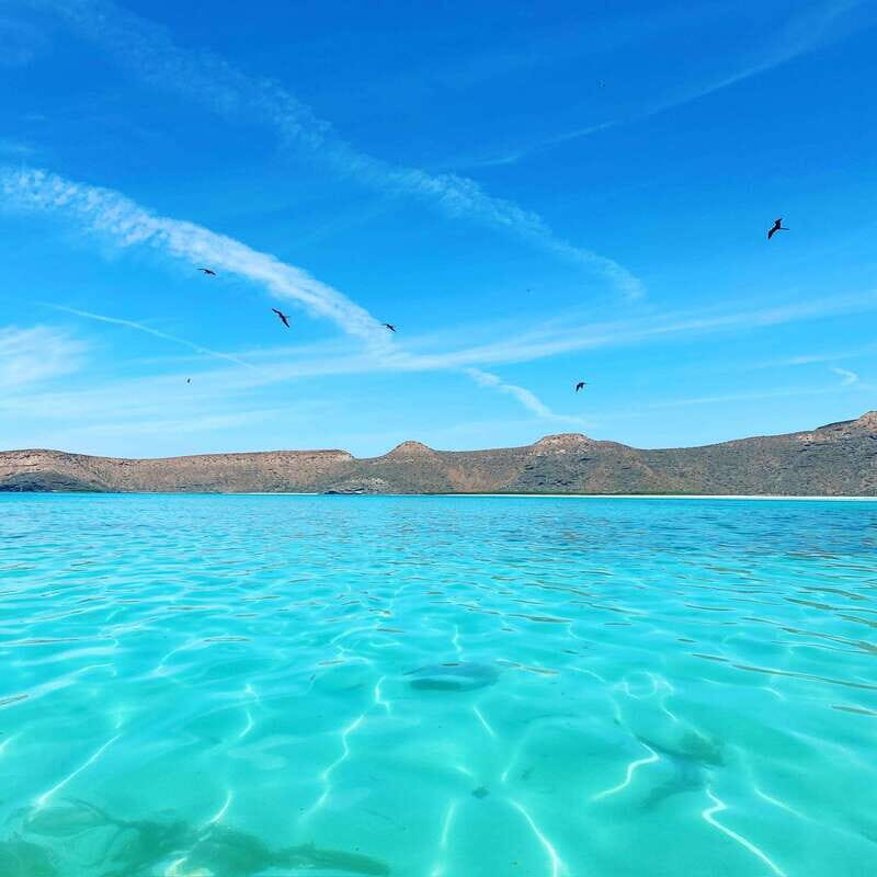 La Paz: Espiritu Santo Island Tour - Isla Espíritu Santo from La Paz: the protected waters feel different