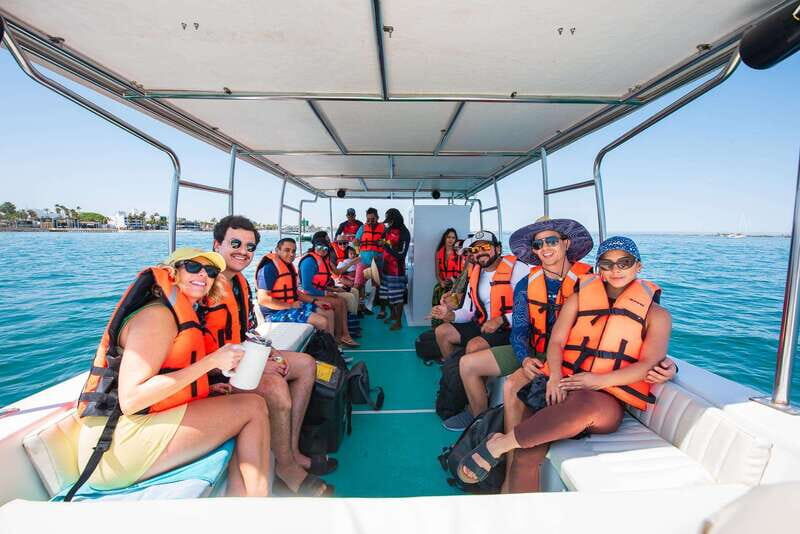 La Paz: Espiritu Santo Island Tour - San Rafaelito sea lions: the highlight, the rule, and why it matters