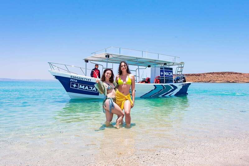 La Paz: Espiritu Santo Island Tour - Wildlife spotting: what you might see and how to watch