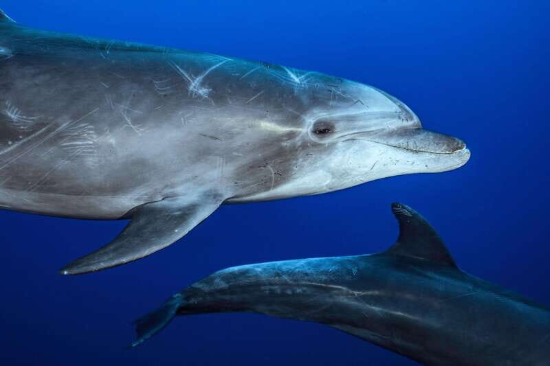 La Paz or La Ventana: Ocean Safari - What to bring for La Paz / La Ventana ocean conditions