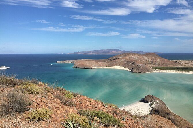 La Paz Whale Shark & Sea Lion Snorkeling + Balandra Tour - Where La Paz makes wildlife snorkeling actually practical