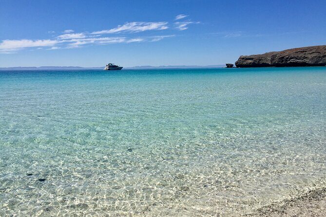 La Paz Whale Shark & Sea Lion Snorkeling + Balandra Tour - San Rafaelito sea lions: close, but with rules