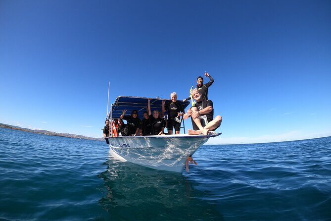 La Paz Whale Shark Snorkeling Tour and Lunch From Los Cabos - What else you might see beyond whale sharks