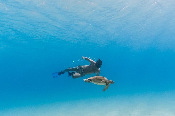La Paz World Class Snorkeling in Balandras Hidden Beaches - Food and Drinks: Lunch That Actually Feels Like Lunch