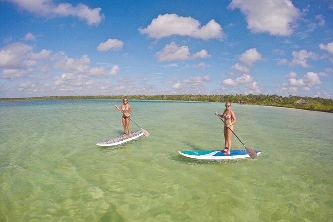 Lagoon Paddleboarding Tour in Tulum - The 9:00 a.m. start: what your day actually looks like