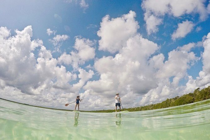 Lagoon Paddleboarding Tour in Tulum - Go-Pro photos included: how to use this to your advantage