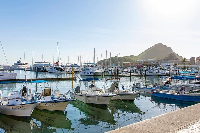Land’s End Experience – Arch, Beaches & Marine Life - The Shopping, Glass Art, and Tequila Stops: Where People Love It or Hate It