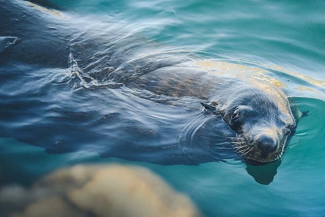 Land’s End Experience – Arch, Beaches & Marine Life - A Quick Reality Check on the Geography: Sea of Cortez Meets the Pacific