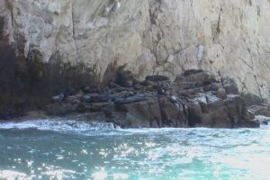 Land's End Tour Basic - Glass-bottom boat basics: see more, get less sun damage