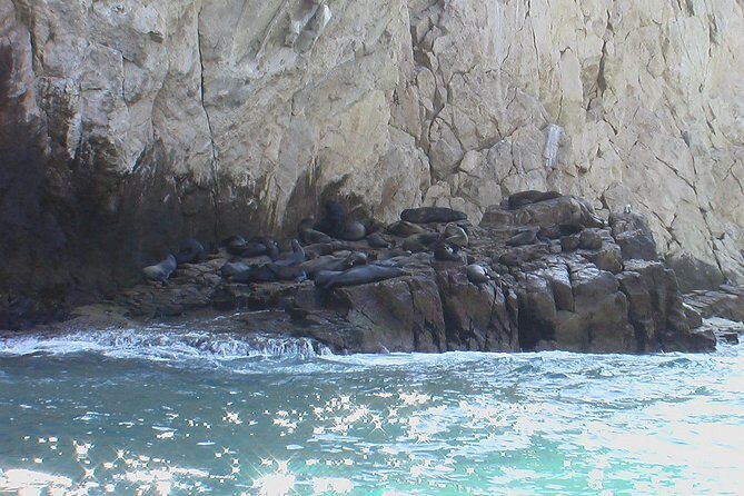 Land's End Tour Basic - Glass-bottom boat basics: see more, get less sun damage