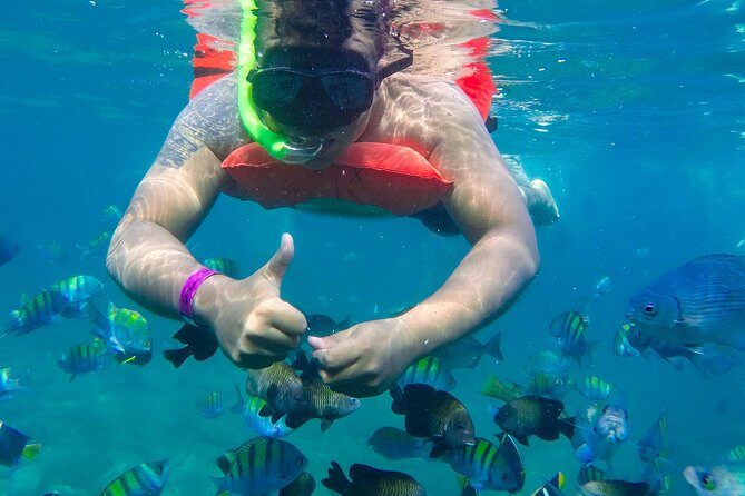 Las Caletas Beach & Adventure Park with buffet lunch and open bar - Extra Options and Animal Encounters: Know What Costs More