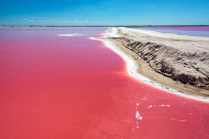 Las Coloradas Pink Lake & Rio Lagartos Guided Tour - Key things I’d plan around