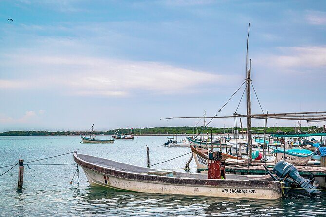Las Coloradas Pink Lake & Rio Lagartos Guided Tour - Price and logistics: what you pay for (and what you still need cash for)