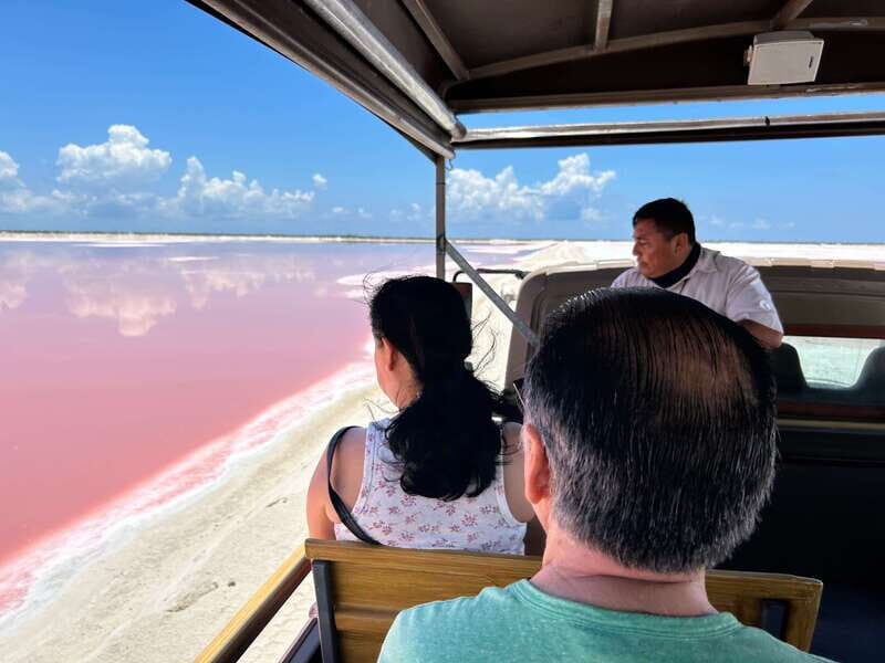 Las Coloradas: Pink Lakes Safari Tour - Key Things You’ll Notice on This Tour
