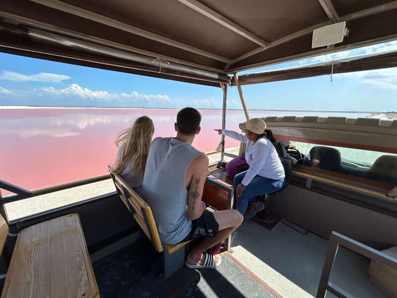 Las Coloradas: Pink Lakes Safari Tour - The Off-Road Ride Into the Salt Flats