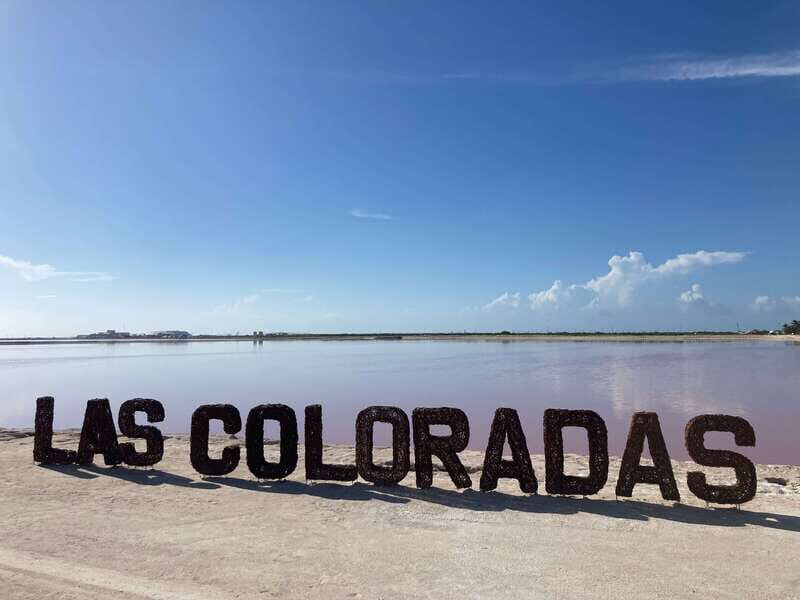 Las Coloradas: Pink Lakes Safari Tour - Las Coloradas Pink Waters: Where Color Depends on Conditions