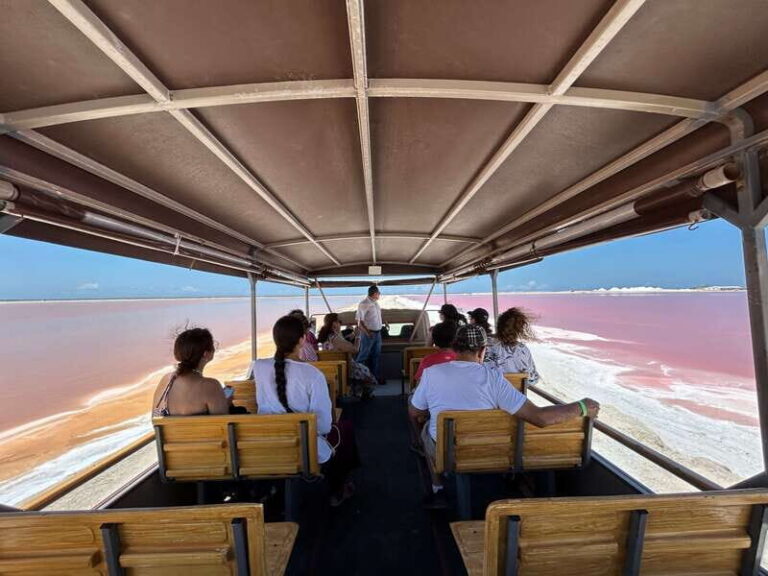 Las Coloradas: Pink Lakes Safari Tour - Rio Lagartos Wetlands: The Bird Watching Part That Feels Scientific