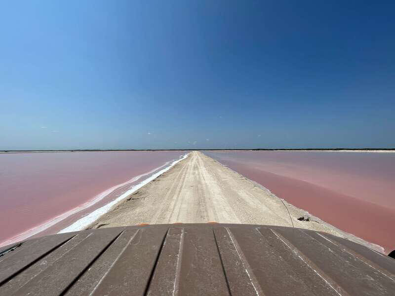 Las Coloradas: Pink Lakes Safari Tour - Price and Value: What $40 Buys You (and What It Doesn’t)