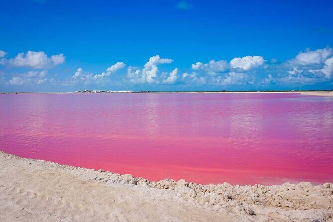 Las Coloradas, Río Lagartos and Playa Cancunito Tour from Mérida - Key points you’ll feel right away