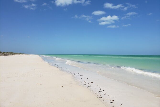 Las Coloradas, Río Lagartos and Playa Cancunito Tour from Mérida - Maleconcito Gourmet lunch: good food, plan for a late meal