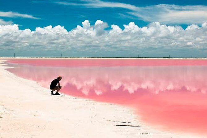 Las Coloradas Tour! Boat Ride, Lunch & Rio Lagartos from Cancun - Las Coloradas pink lakes: the salt science behind the color