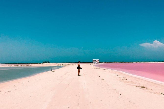 Las Coloradas Tour! Boat Ride, Lunch & Rio Lagartos from Cancun - The Ría Lagartos boat ride: canals, birds, and crocodile spotting