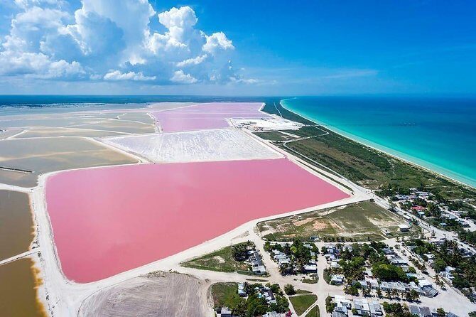 Las Coloradas Tour! Boat Ride, Lunch & Rio Lagartos from Cancun - Getting to Las Coloradas from Cancun: 6:30am start and shared transfers