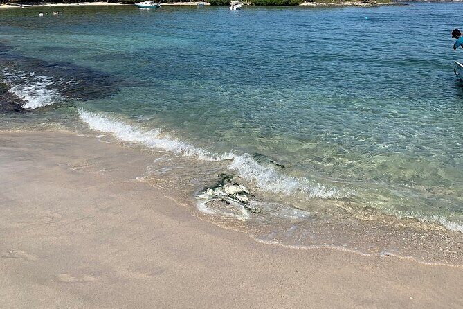 Las Gatas Kayaking and Snorkeling Tour - Stops that make the day feel well-paced