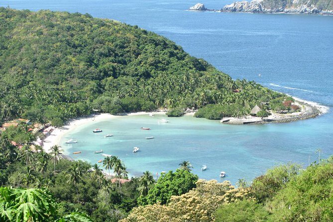 Las Gatas Kayaking and Snorkeling Tour - Price and value: what you get for about $101.56