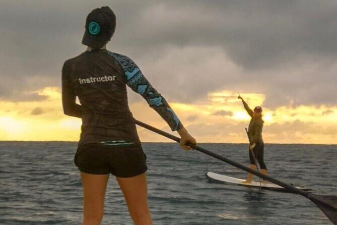Learn Paddle Board and Explore the Mangroves of Progreso - Price and Value: What $59.44 Actually Buys You