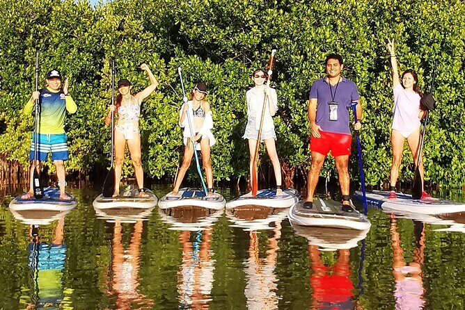 Learn Paddle Board and Explore the Mangroves of Progreso - Marina Logistics at Marina el Trébol: Getting There Without Drama