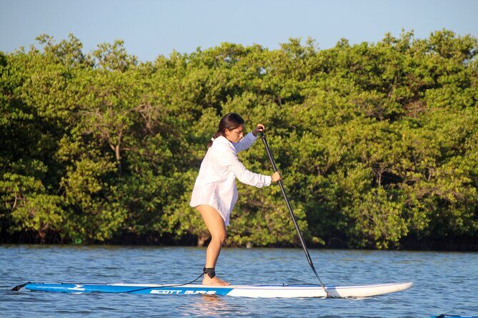 Learn Paddle Board and Explore the Mangroves of Progreso - Best for Families and First-Timers (and Who Might Want a Different Option)