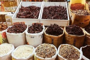 Learn to Cook Mexican Salsas - From Market to Kitchen: 5 Minutes Walk, Then Real Cooking Starts