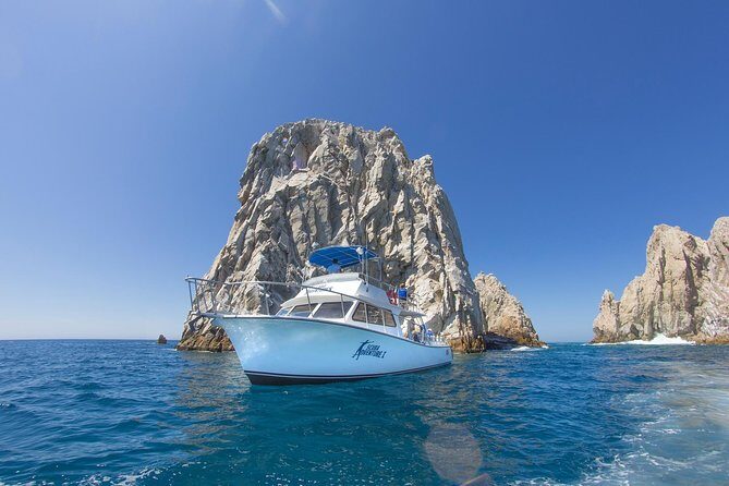 Learn to Scuba Dive in Cabo San Lucas with PADI - Who This Works Best For (and Who Should Skip)