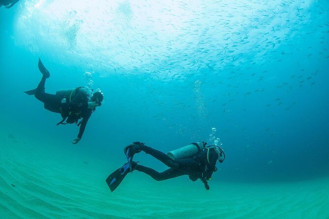 Learn to Scuba Dive in Cabo San Lucas with PADI - Should You Book This PADI Beginner Underwater Experience in Cabo?