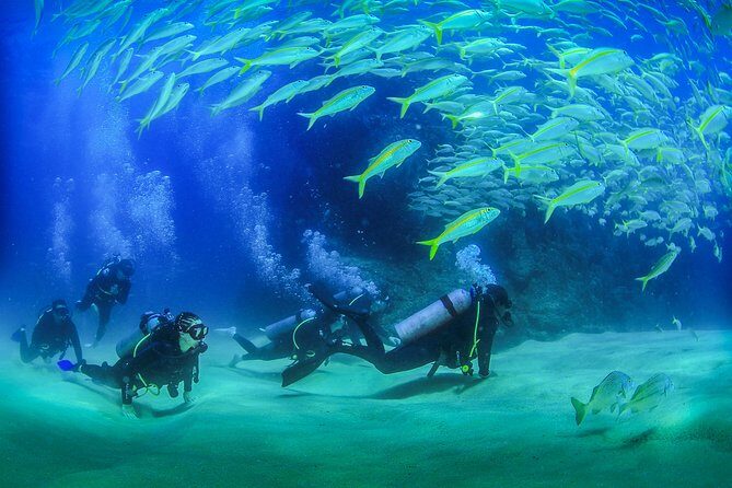 Learn to Scuba Dive in Cabo San Lucas with PADI - Price and Value: How to Think About the $129 Base Cost