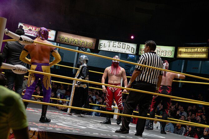 Lets Go to the Wrestlings! - Key highlights