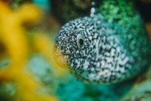 Local Dive in Playa del Carmen - From Be Diving to the Boat: What the Start Feels Like