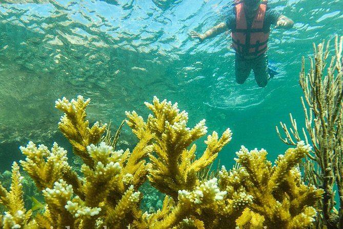 Local Fishing Plus Snorkeling Tour in Isla Mujeres - A Half-Day Combo Tour That Doesn’t Waste Time