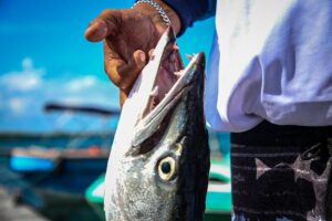 Local Fishing Plus Snorkeling Tour in Isla Mujeres - Two Hours Fishing: Covered Gear, Licensed Help, and Real Teaching