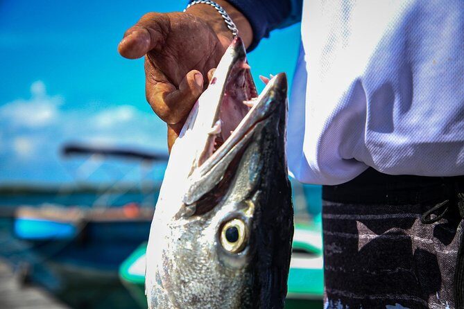 Local Fishing Plus Snorkeling Tour in Isla Mujeres - Two Hours Fishing: Covered Gear, Licensed Help, and Real Teaching