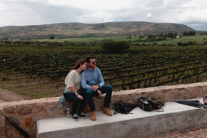 Local Vineyard Tour & Wine Tasting at the Independence Valley - From San Miguel to Valle de la Independencia: the ride and the vibe