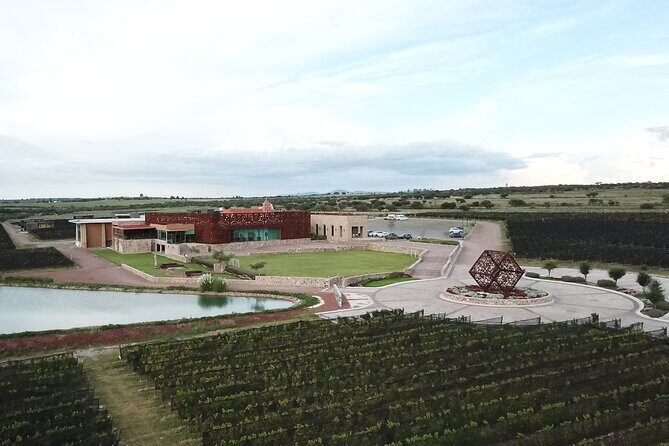 Local Vineyard Tour & Wine Tasting at the Independence Valley - Who should book this tour (and who might want a different plan)