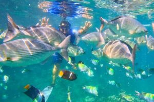 Los Arcos 5 islands Snorkeling Cliff Jumping and Hidden Beach - Playa Mismaloya stop: ruins, shops, and an optional jump