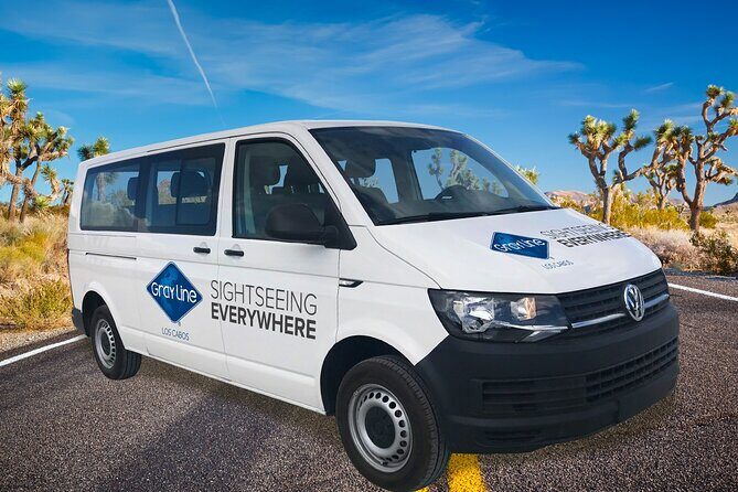 Los Cabos Airport One Way Shuttle Only Arrival - Comfort, Safety, and Luggage Limits on the Van